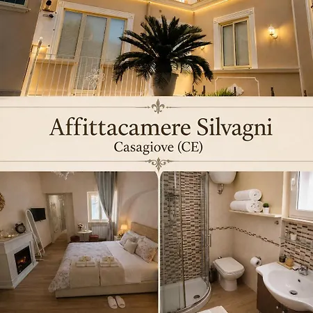 Silvagni 3*