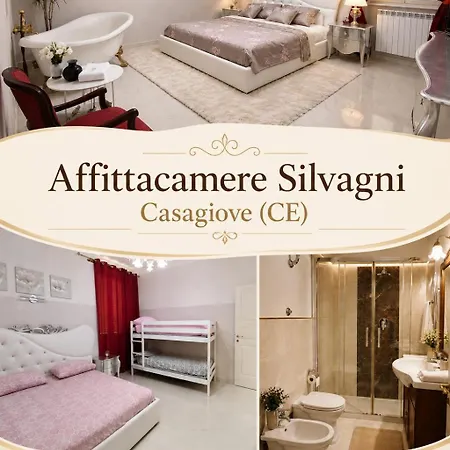 Silvagni 3*